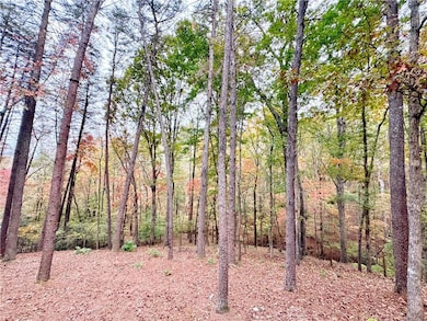 931 Homer Edwards Rd, Dahlonega, GA 30533 - photo 6