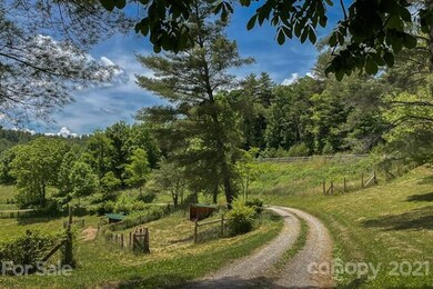 43 Don Felmet Rd, Leicester, NC 28748 - photo 7