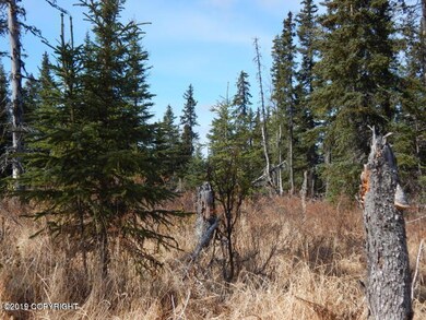 66051 Turku Ave, Anchor Point, AK 99556 - photo 5