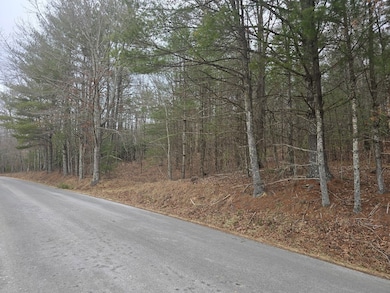 TBD Taylors Chapel Rd, Fries, VA 24330 - photo 5