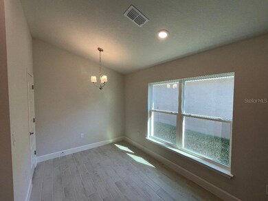 36188 Welsh Glade Rd, Dade City, FL 33525 - photo 6