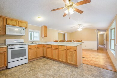 1061 E Lincoln St, Bitely, MI 49309 - photo 4