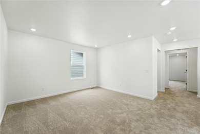 2086 Wagon Wheel Aly, Brighton, CO 80601 - photo 5