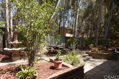 Private and serene backyard with mature eucalyptus