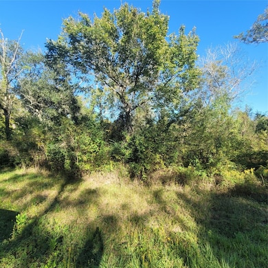 000 Farm To Market 562, Anahuac, TX 77514 - photo 3