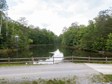 0 N Rim Dr unit RTC2788903, Coalmont, TN 37313 - photo 4