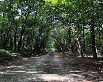 209 Alice Moss Ln, Alto, GA 30510 - photo 7