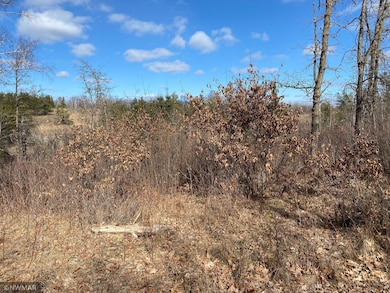 TBD (L9,B2) Goldfinch Ln SW, Bemidji, MN 56601 - photo 3