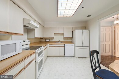 3 Southerly Ct unit 201, Towson, MD 21286 - photo 7