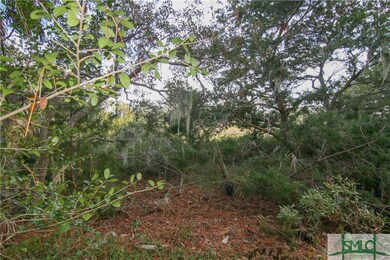 undevelopable woods between lot and marsh