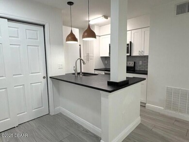 1401 S Palmetto Ave unit 203, Daytona Beach, FL 32114 - photo 2