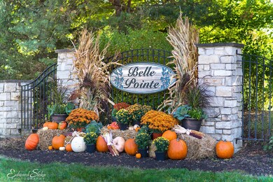 16009 Sara Ln, Union, IL 60180 - photo 2