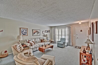 LIVING ROOM WITH PLANTATION SHUTTERS