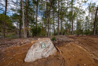 12-12-10-8 Jacob Hall Farm Rd, Rumney, NH 03266 - photo 5