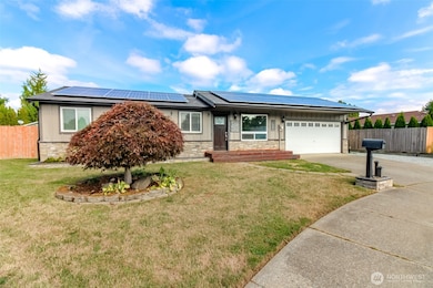 Easy low maintenance front yard. Beautiful mature Japanese Maple.
