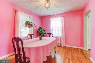 717 Auburn Ave, Takoma Park, MD 20912 - photo 7