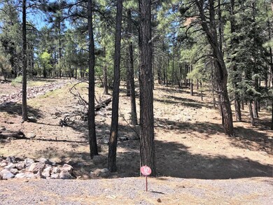 1.Lot 32