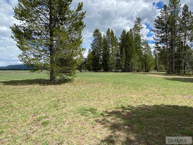 Forest Service