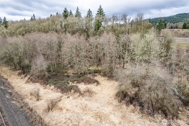 0 Huntington Ave S unit NWM2336096, Castle Rock, WA 98611 - photo 7