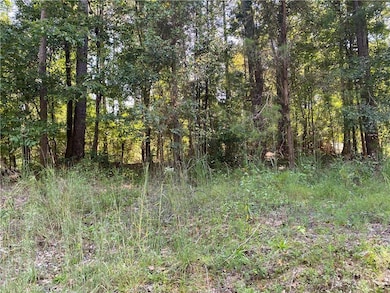 000 Lakewood Way NE, Conyers, GA 30012 - photo 2