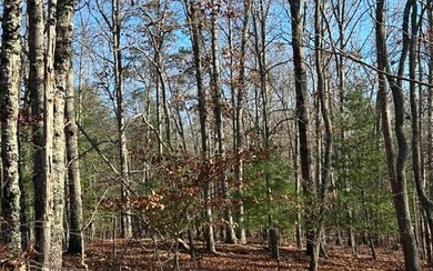 Additional View