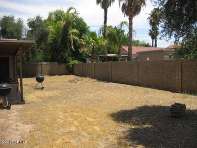 Backyard ready for Bar-B-Q