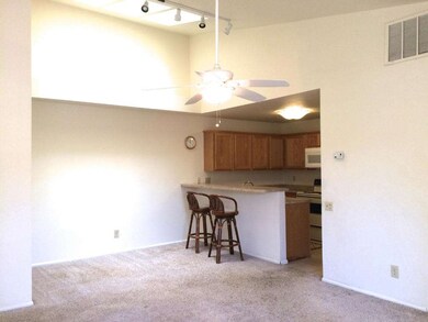 Large Living/Dining Room