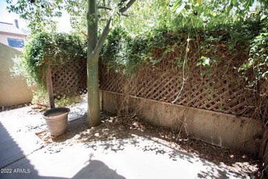 Huge Shadey Front Patio