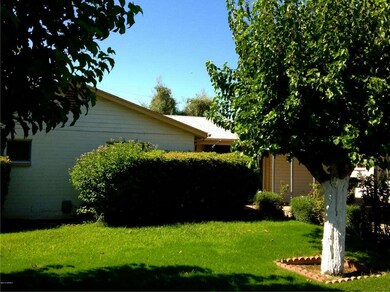 Cypress EF