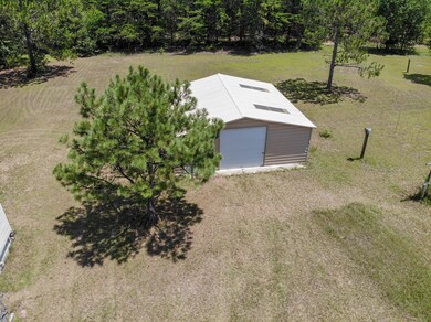 399 Helena-Chauncey Rd, Helena, GA 31037 - photo 2