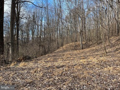 0 Harris Hollow Rd unit VARP2000934, Washington, VA 22747 - photo 3