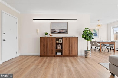 222 E Montgomery Ave unit 304, Ardmore, PA 19003 - photo 7