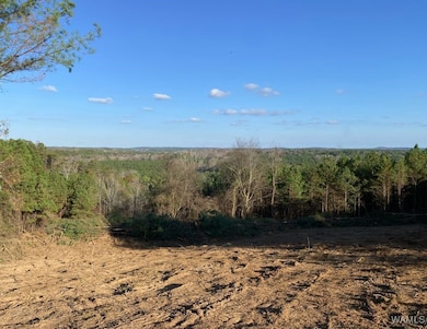 0 Hwy 43 N unit 172125, Northport, AL 35475 - photo 7