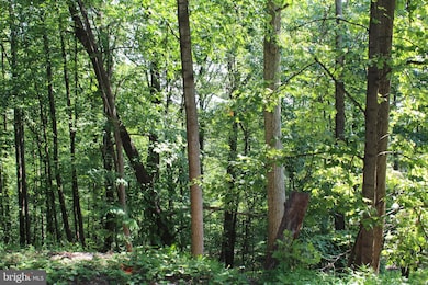 1507, 1505, 1503, 15 Summit Dr, Bull Run Mountain Estates, VA 20169 - photo 2