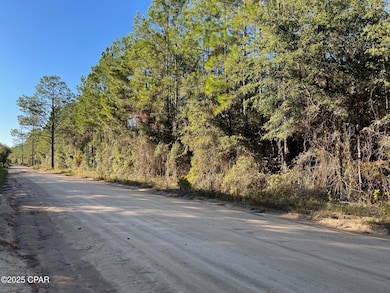 000 Cross Country Blvd, Marianna, FL 32446 - photo 3