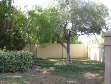 Large Side Yard