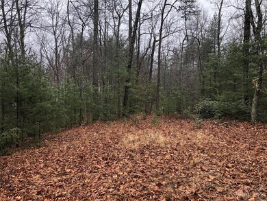 TBD Deer Run unit 56, Purlear, NC 28665 - photo 5