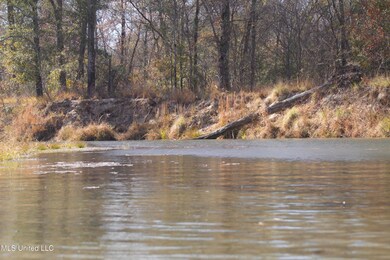 0 County Road 115, Carrollton, MS 38917 - photo 6