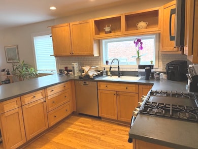 556 Barton Ave unit 1, Evanston, IL 60202 - photo 7