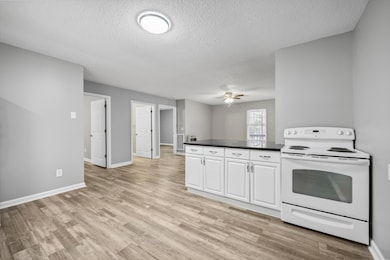 1469 Hickory Grove Rd, Ringgold, GA 30736 - photo 7