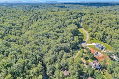 38 and 58 Lake View Pointe, Union Hall, VA 24092 - photo 2