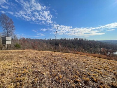 0 Terry Coal Rd unit RA20256681, Crofton, KY 42217 - photo 2
