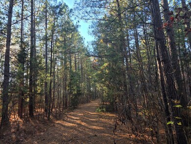 0 Mountain Creek Rd unit 2, Meherrin, VA 23954 - photo 3