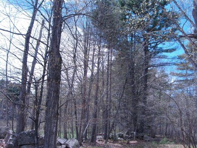 54 Old Elm Rd, Bridgton, ME 04009 - photo 7