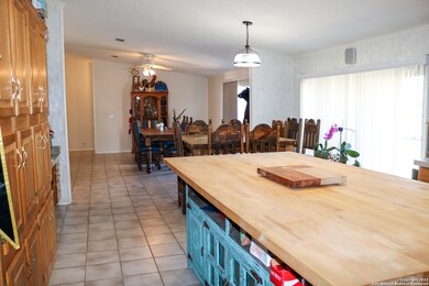 178 County Road 2412, Hondo, TX 78861 - photo 5