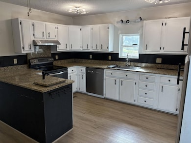 316 W Highway Dd, Miller, MO 65707 - photo 3