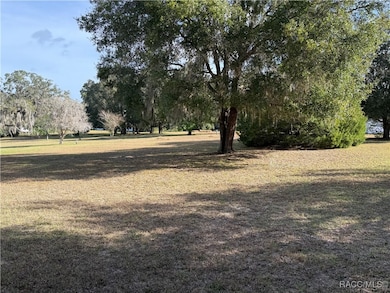 9095 S Meredith Ave, Floral City, FL 34436 - photo 7