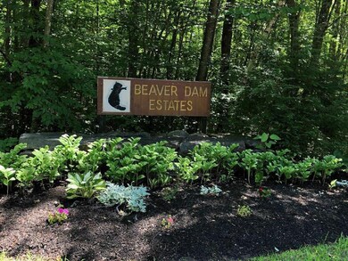 98 Beaver Rd, Strafford, NH 03884 - photo 2