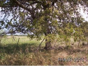 45.478 Acres Fm 580, Copperas Cove, TX 76522 - photo 2