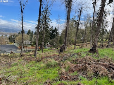 0 E E St unit 22162495, Rainier, OR 97048 - photo 2